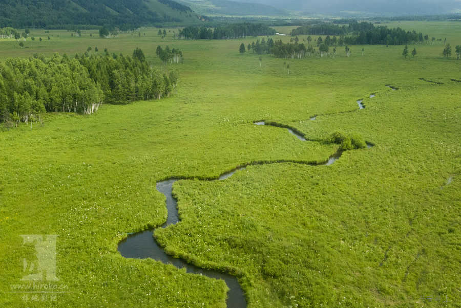 内蒙古鄂伦春旗家庭农场为什么没有粮食补贴,