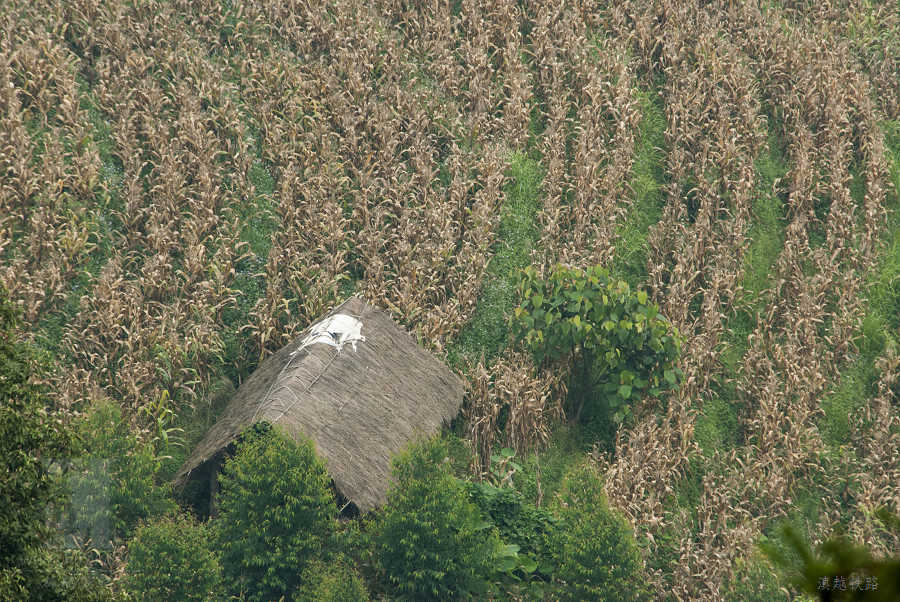 ջļ