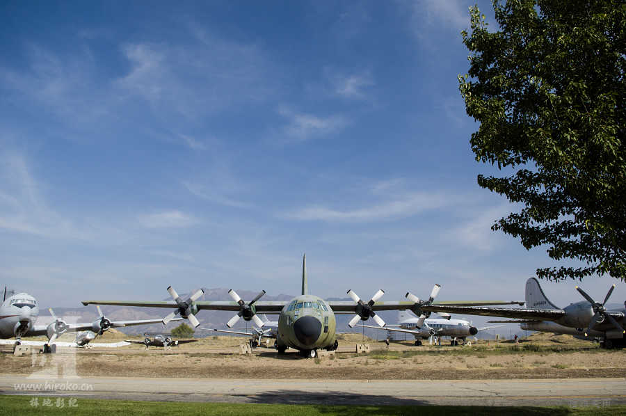 C-130񰡣սй