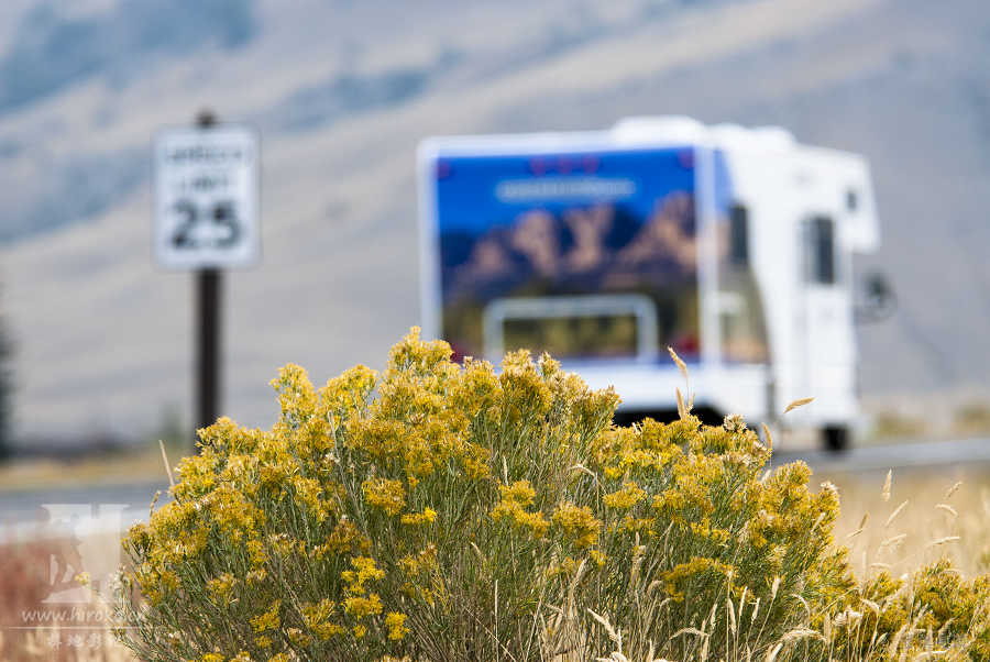 (Wyoming)-(Utah)-ڻ(Nevada)