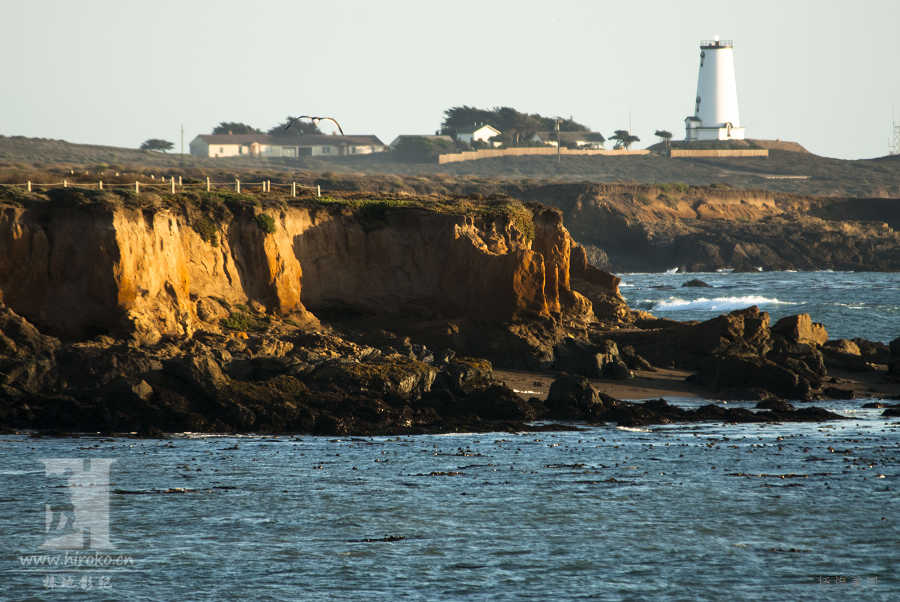 Point piedras blancasãǿ˳Ⱥ󺣱