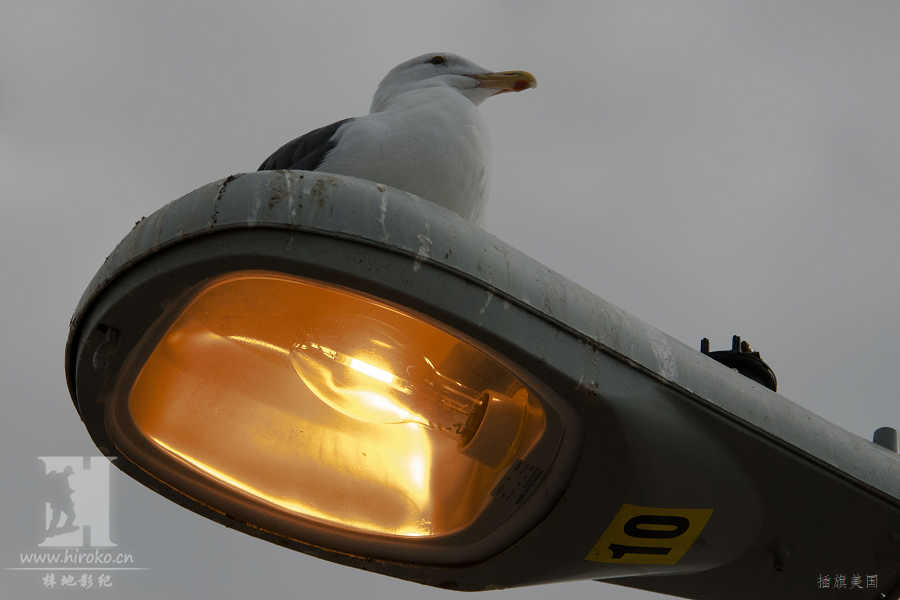 ·ϵĺŸؿһĻ