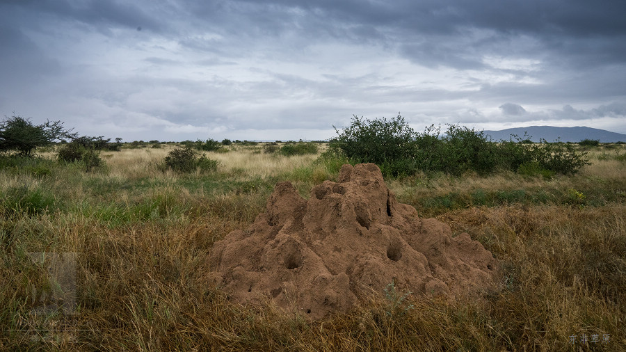 ������:ɣ��³(Samburu)