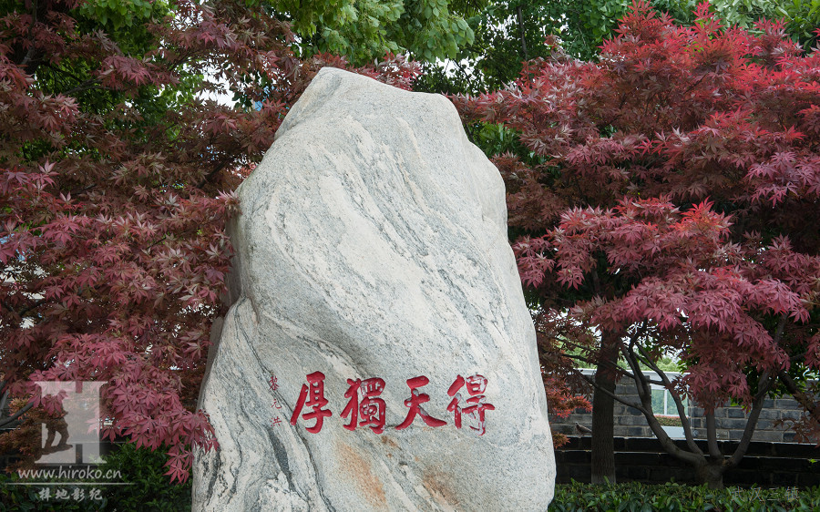 2026-4-20