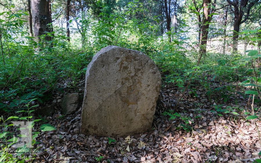 2026-5-8